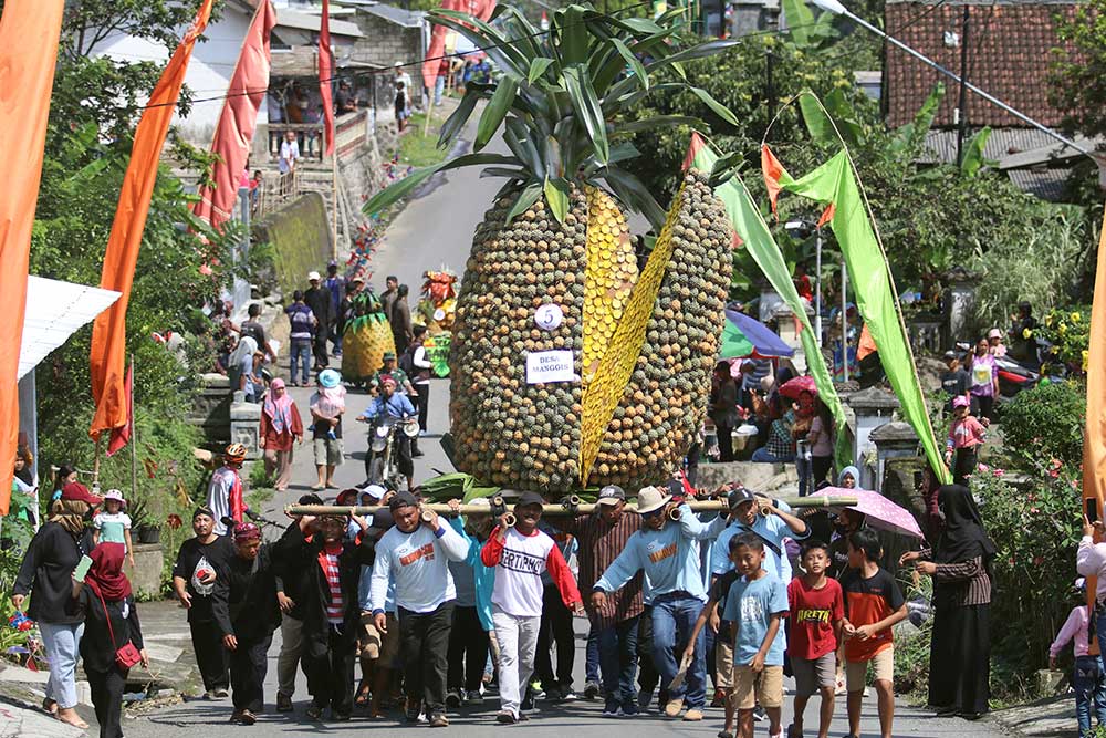 Kemeriahan Festival Nanas di Kawasan Lereng Gunung Kelud Kediri