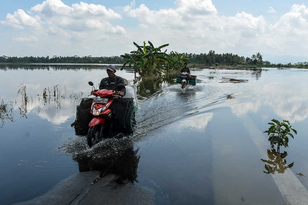  Lumbung Padi di Ciamis Terendam Banjir Sejak Sepekan Terkahir