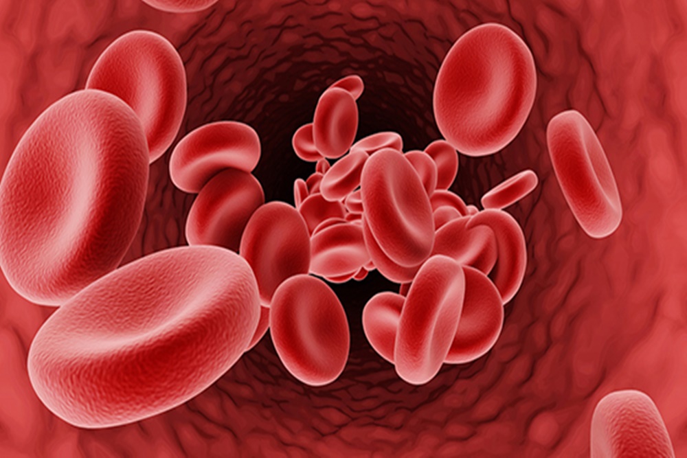  Gejala Thalassemia dan Pencegahannya, Jangan Menikah dengan Sesama Pembawa Sifat