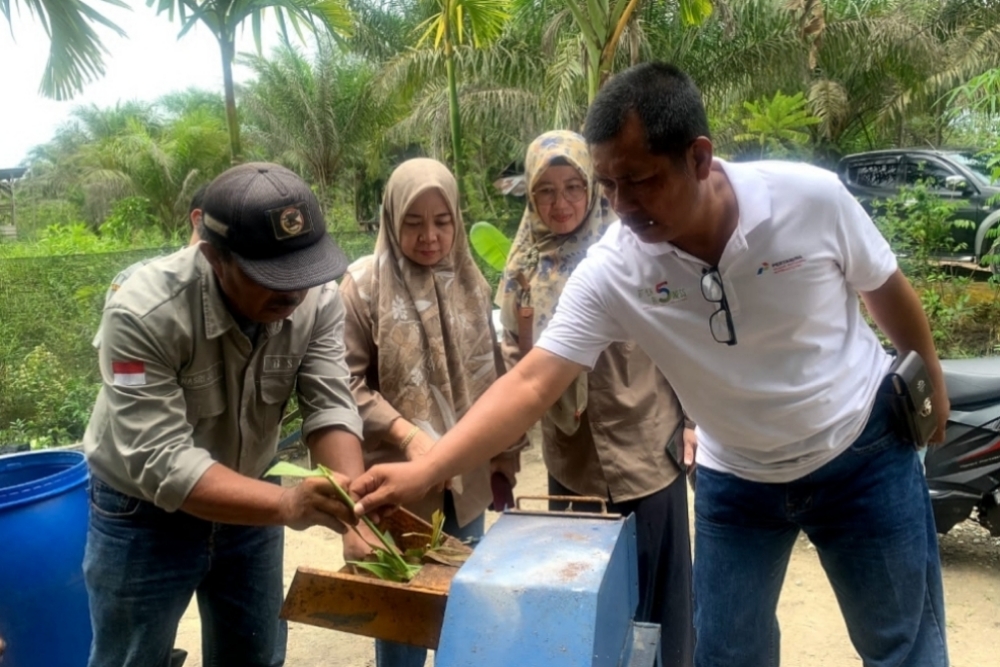  Petani Dumai Olah Limbah Sorgum Menjadi Pakan Ternak Organik