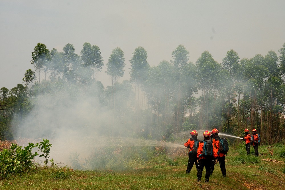  Satgas Karhutla Riau Berhasil Padamkan Karhutla di Pelintung Dumai