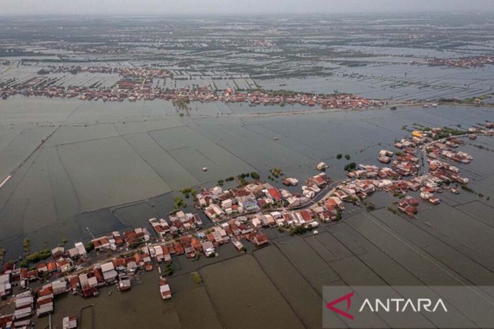  Banjir Pantura Demak Semarang, Begini Kronologi dan Cara Menghindari