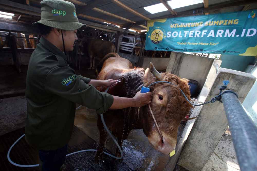  Terus Melangkah, Petani Milenial