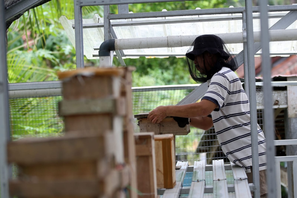  Petani Milenial yang Berhasil Lebih Banyak Dibanding yang Gagal