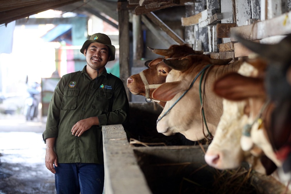  Faqih Ibrahim, Petani Milenial yang Sukses Tingkatkan Skala Bisnis Peternakan Sapi Potong