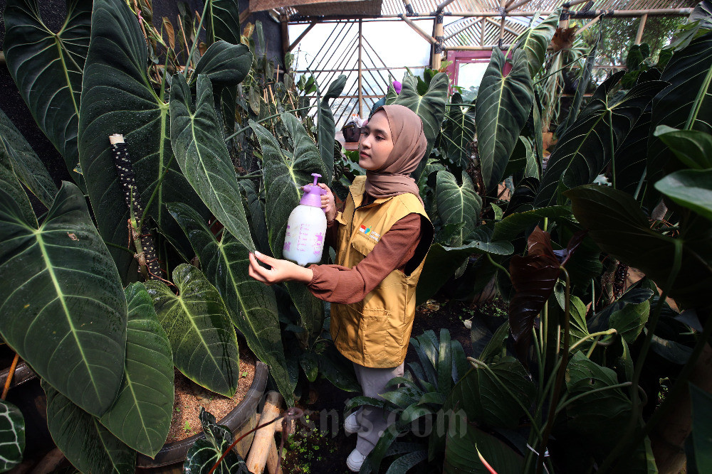  Pemprov Jabar Lakukan Pembaharuan Pada Program Petani Melenial Bacth 2