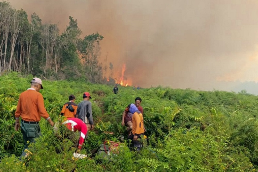 Kondisi kebakaran hutan dan lahan di Nagari/Desa Silaut, Kabupaten Pesisir Selatan, Sumatra Barat, Rabu (24/5/2023). /dok Tim Pemadaman Karhutla