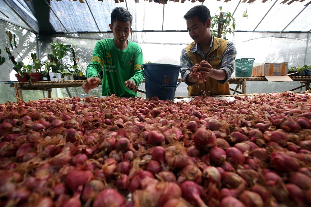  Petani Milenial Harus Berkelanjutan! Pakar: Bertani Itu Seperti Naik Kuda Melewati Jurang