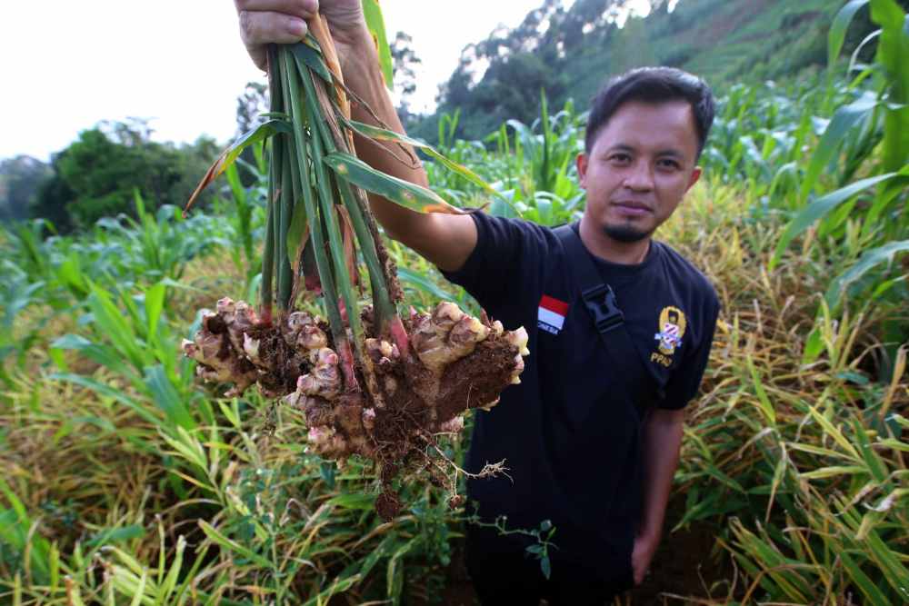  Ini Dia Syarat Agar Produk Peserta Bisa Mejeng di Gerai Petani Milenial