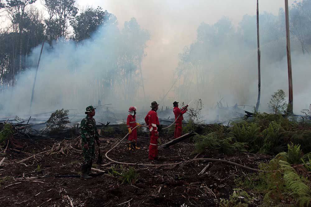  Ratusan Hektare Hutan Gambut di Sumatra Barat Terbakar