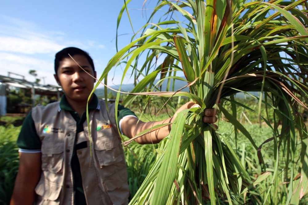  Lewat Petani Milenial, Ruslan Buktikan Kalau Bertani Bisa jadi Ladang Cuan