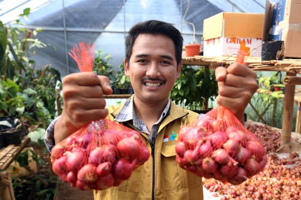  Bukan Program Karpet Merah, Petani Milenial Harus Jeli Lihat Peluang