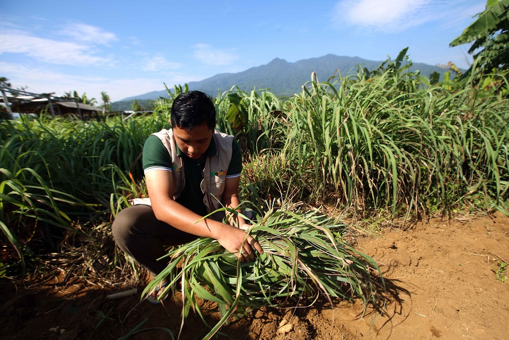  Peserta Petani Milenial Dibagi 4 Klasifikasi, Kamu Masuk yang Mana?