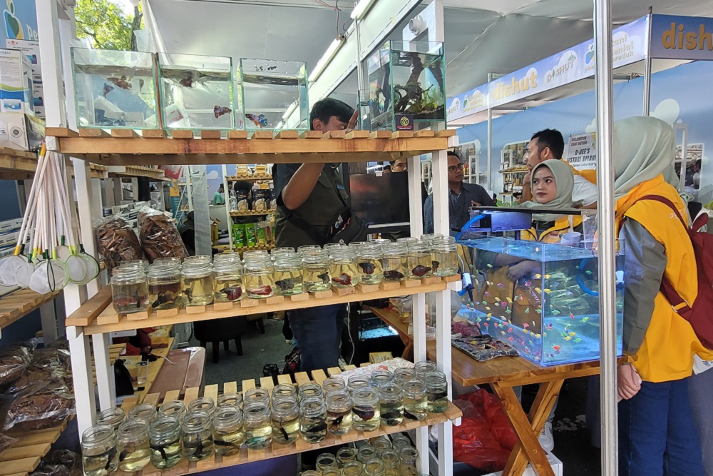  Wangi Duren dan Ragam Ikan Cupang di Inaugurasi Petani Milenial 2022