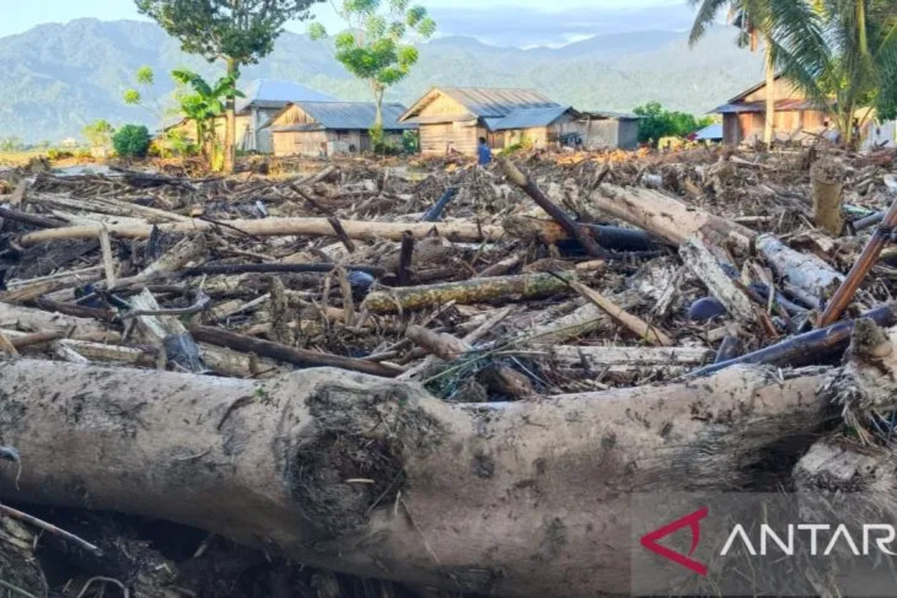 Tumpukan material kayu yang terseret banjir di Desa Balinggi Kecamatan Balinggi, Kabupaten Parigi Moutong, Sulawesi Tengah, Selasa (30/5/2023)./Antara-BPBD Parigi Moutong.
