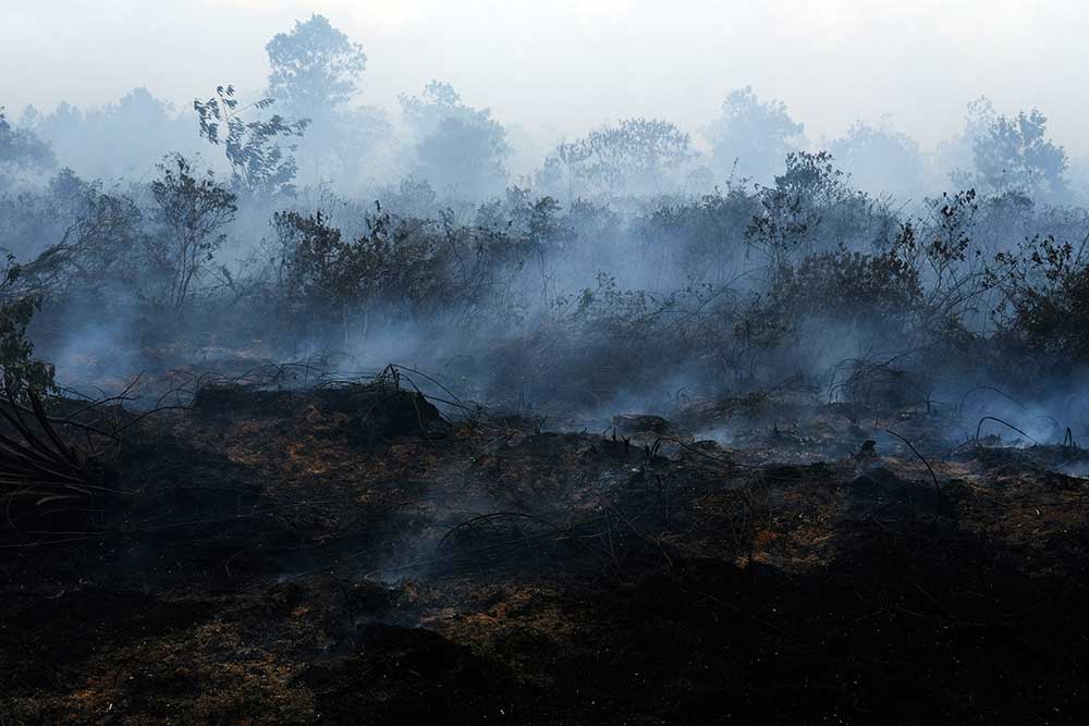  Kebakaran Lahan Gambut di Kalimantan Barat