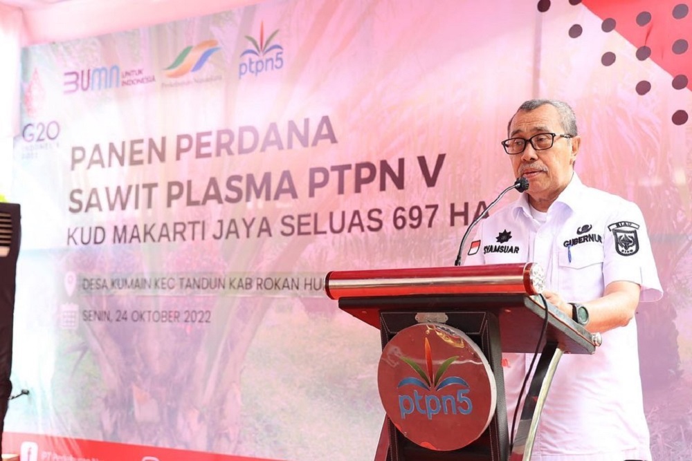  Kebun Plasma PTPN V Terluas di Riau Mencapai 56.000 Ha