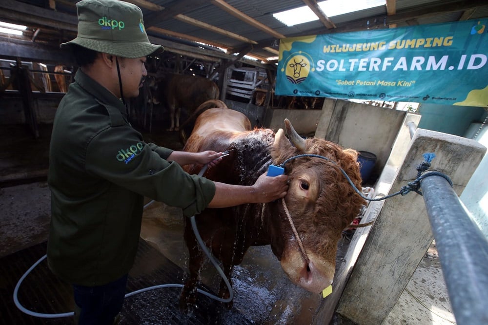  Sudah Saatnya Milenial Tak Pikir Panjang Jadi Peternak, Ini Alasannya