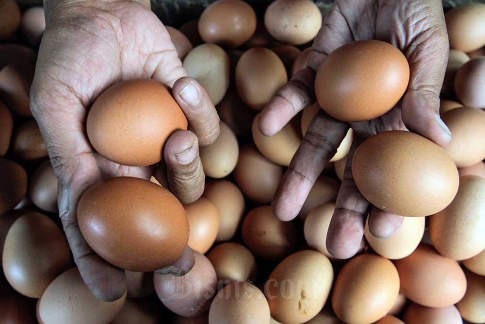Pedagang menunjukkan telur di Jakarta, Minggu (31/7/2022). Bisnis/Fanny Kusumawardhani