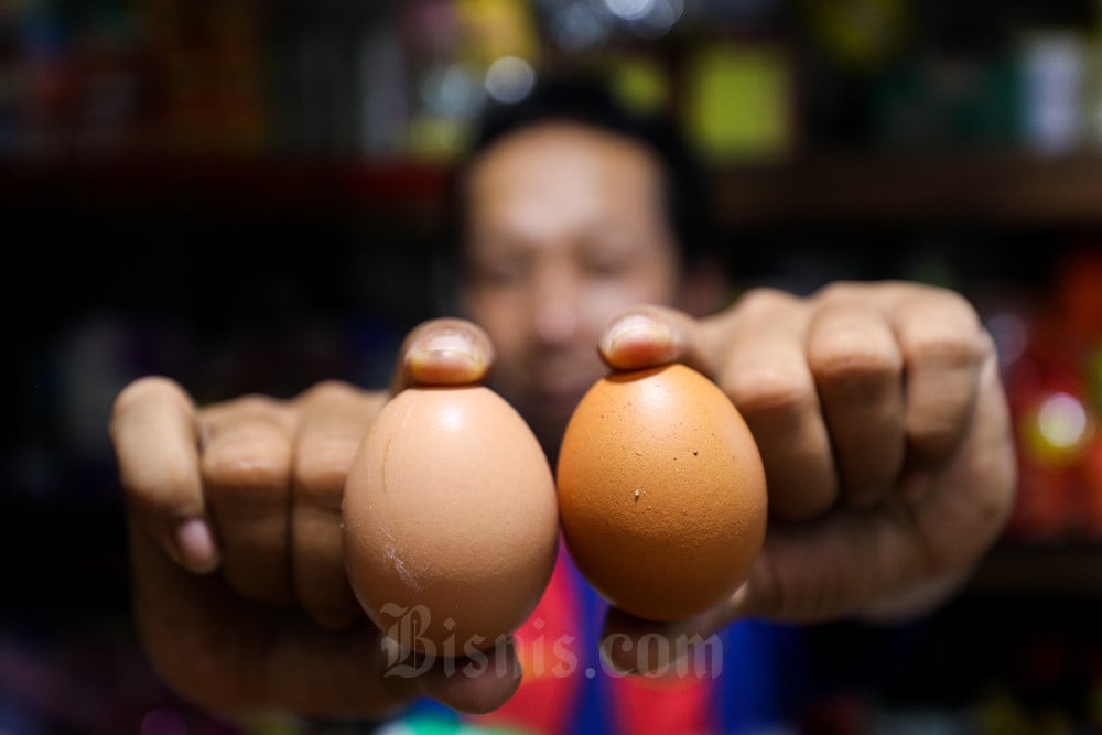  Bapanas Tetapkan Harga Telur Acuan Rp28.000 Per Kilogram