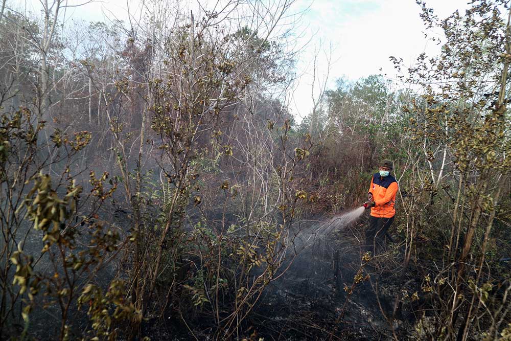  Puluhan Ribu Hektare Lahan Gambut di Palangka Raya Terbakar
