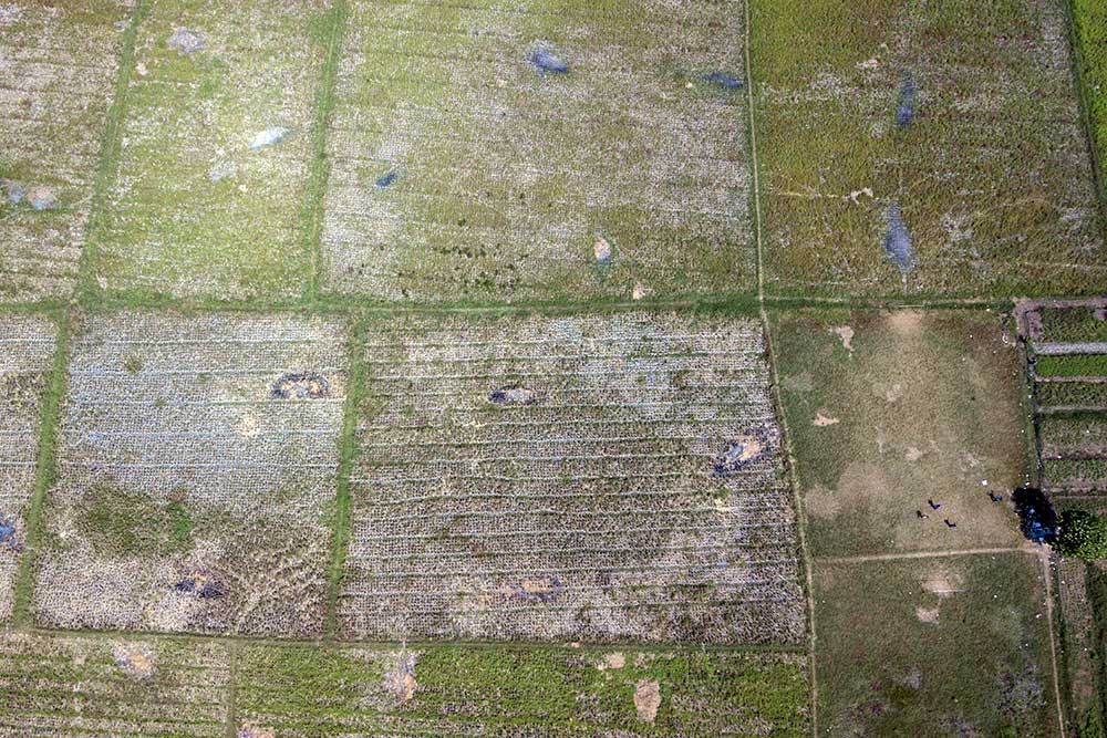  Sawah di Kabupaten Bekasi Mulai Alami Kekeringan