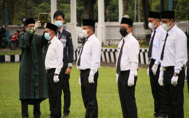  Riau Buka Lowongan 3.400 Pegawai, Paling Banyak Guru dan Nakes