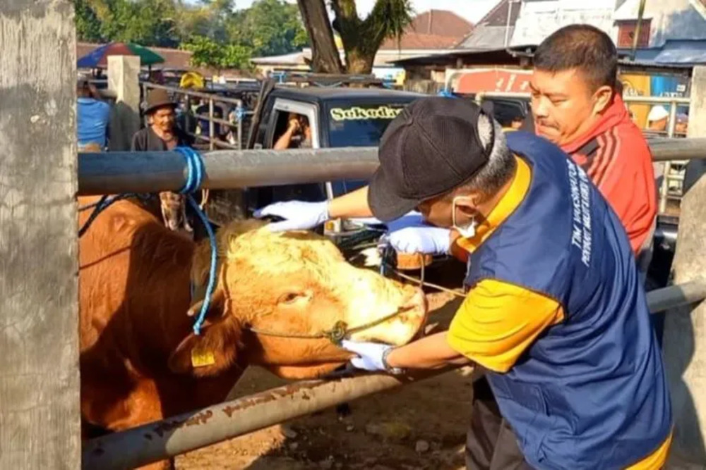  Pengawasan Hewan Ternak di Trenggalek Diperketat