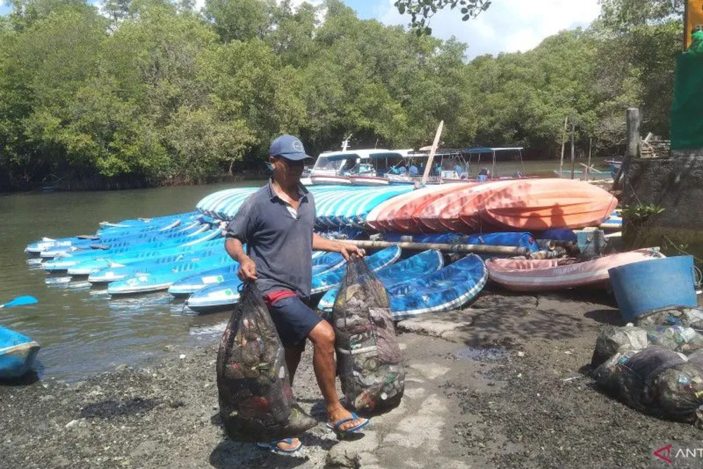 Sampah Menahun Di Hutan Mangrove Bali Begini Penanganannya
