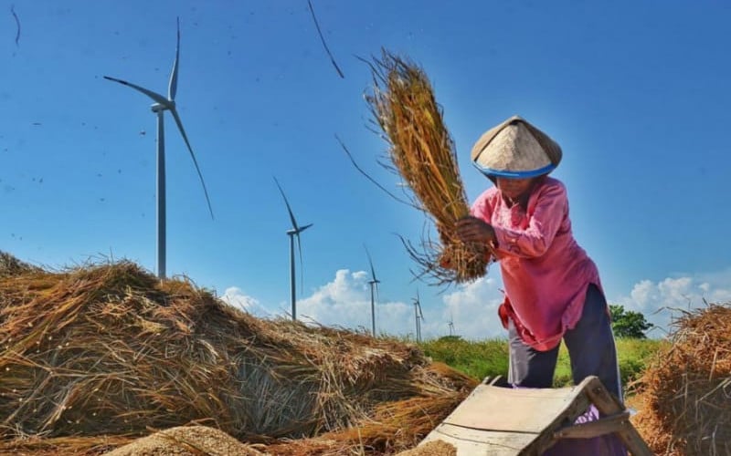  Bapanas Ungkap 74 Kabupaten/Kota Masuk Kategori Daerah Rawan Pangan