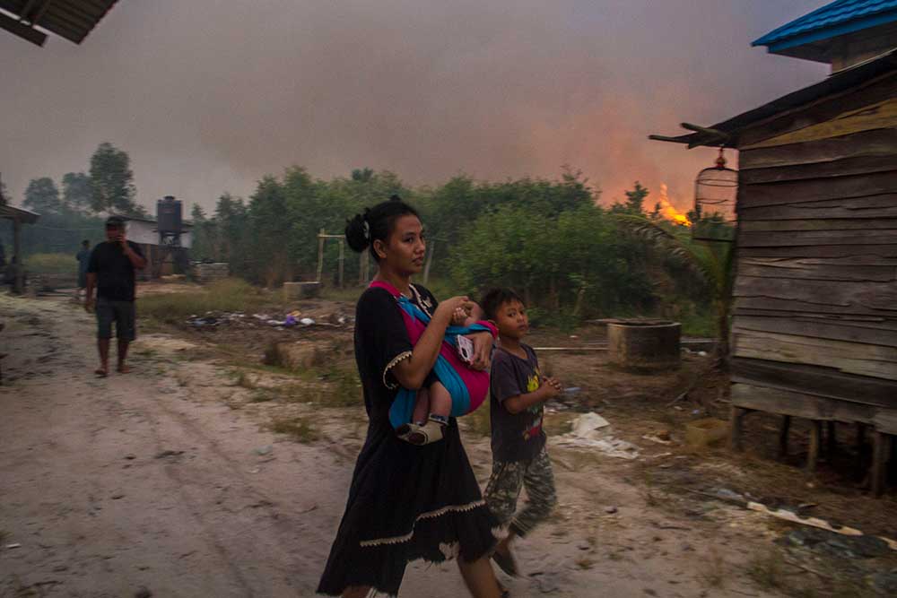  Kebakaran Lahan Gambut di Kalimantan Selatan Mulai Mendekati Permukiman Warga