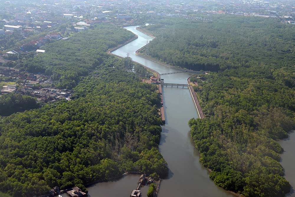  Luas Lahan Mangrove di Provinsi Bali Mencapai 2.143,97 Hektare