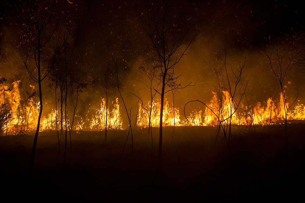  Perjuangan Pemadaman Kebakaran Lahan di Kalimantan Selatan