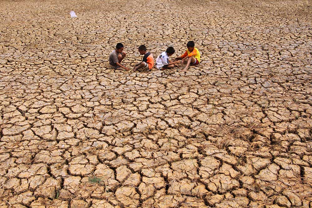  BMKG Perkirakan El Nino Akan Terjadi di Indonesia Pada Juni 2023