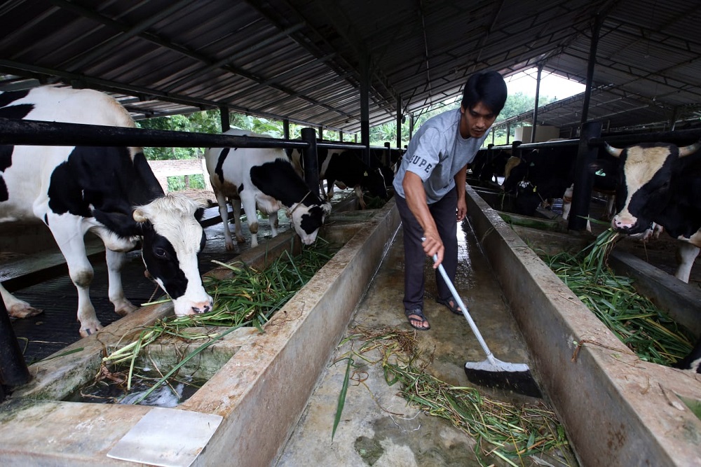  Ponpes Binaul Ummah Kuningan Jadi Role Model untuk Peserta OPOP 2023