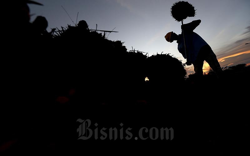  Harga Sawit Riau Naik Tipis, Pekan Ini Dijual Rp2.413,34 per Kg