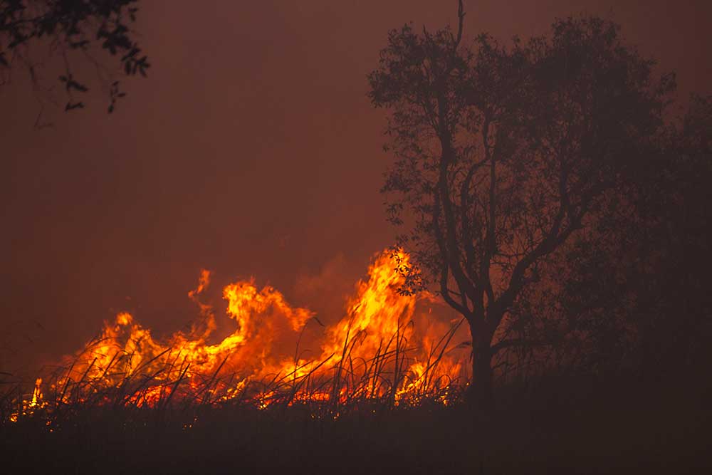  Luas Kebakaran Lahan dan Lahan di Kalsel Mencapai 191,2 Hektare