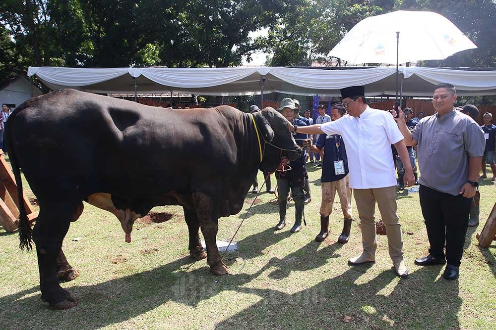  Bank Mandiri Bagikan Daging 760 Hewan Kurban Idul Adha 1444 H ke Masyarakat