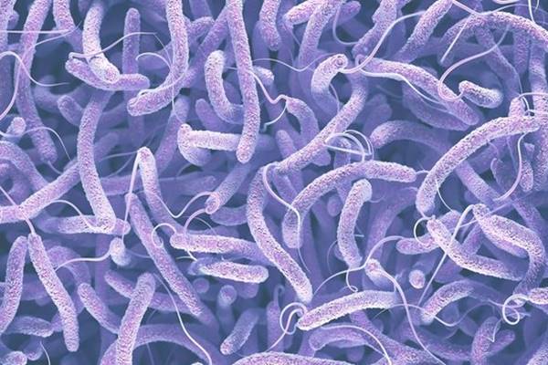  Fakta-fakta Penyakit Legionnaires yang Sedang Naik Kasusnya di Eropa