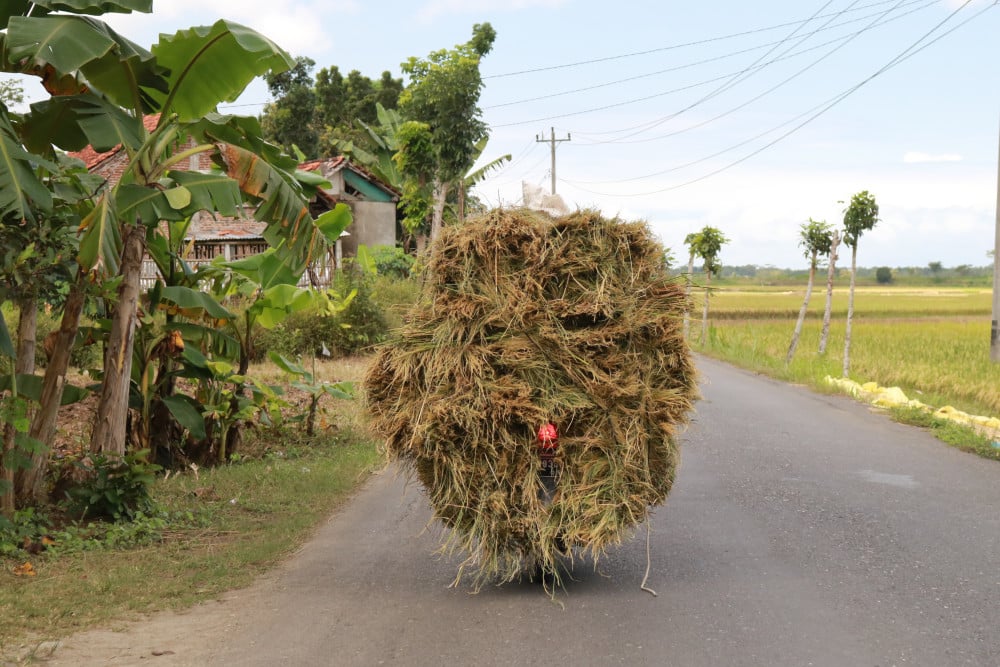  Kualitas Ekosistem Jadi Kunci Sistem Pertanian Organik