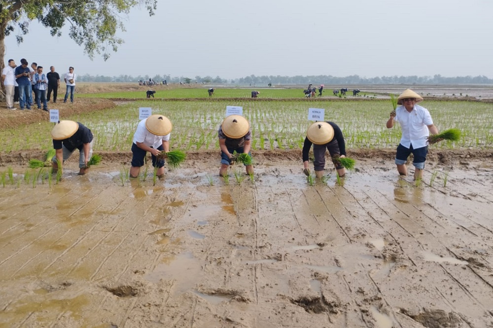 Penanaman perdana tanaman padi bibit unggul yang berlokasi di lahan PT Sang Hyang Seri (SHS) Sukamandi, Kabupaten Subang.
