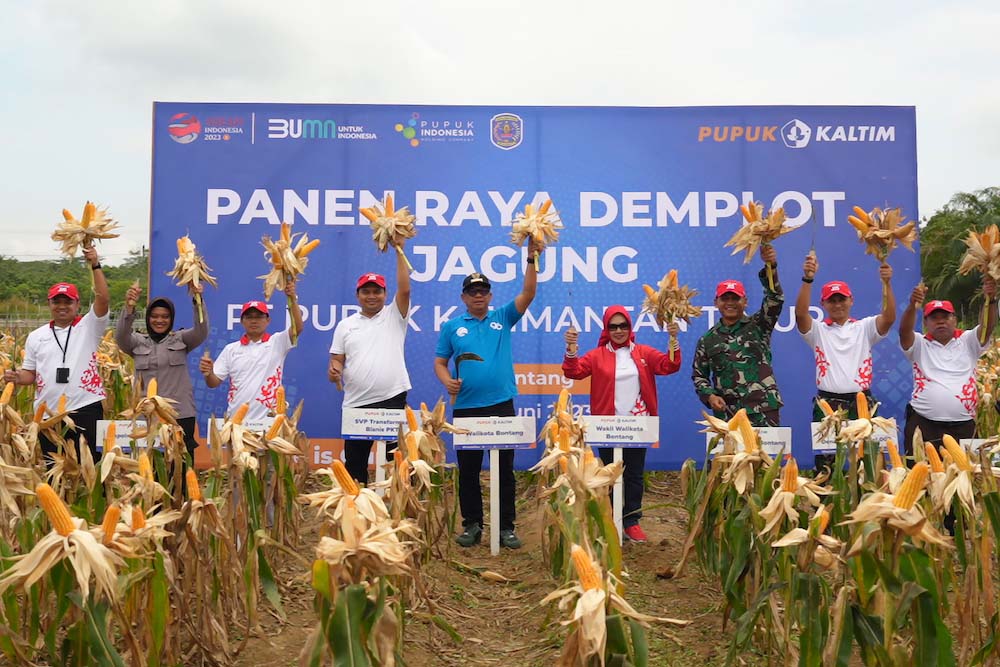  Demplot NPK Pelangi JOS Pupuk Kaltim, Produktivitas Jagung Bontang Naik 48 Persen