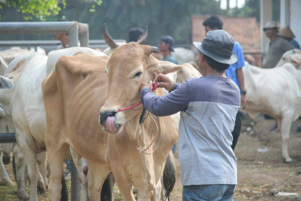  Antisipasi Antraks, Empat Pasar Hewan di Purwakarta Ditutup Sementara