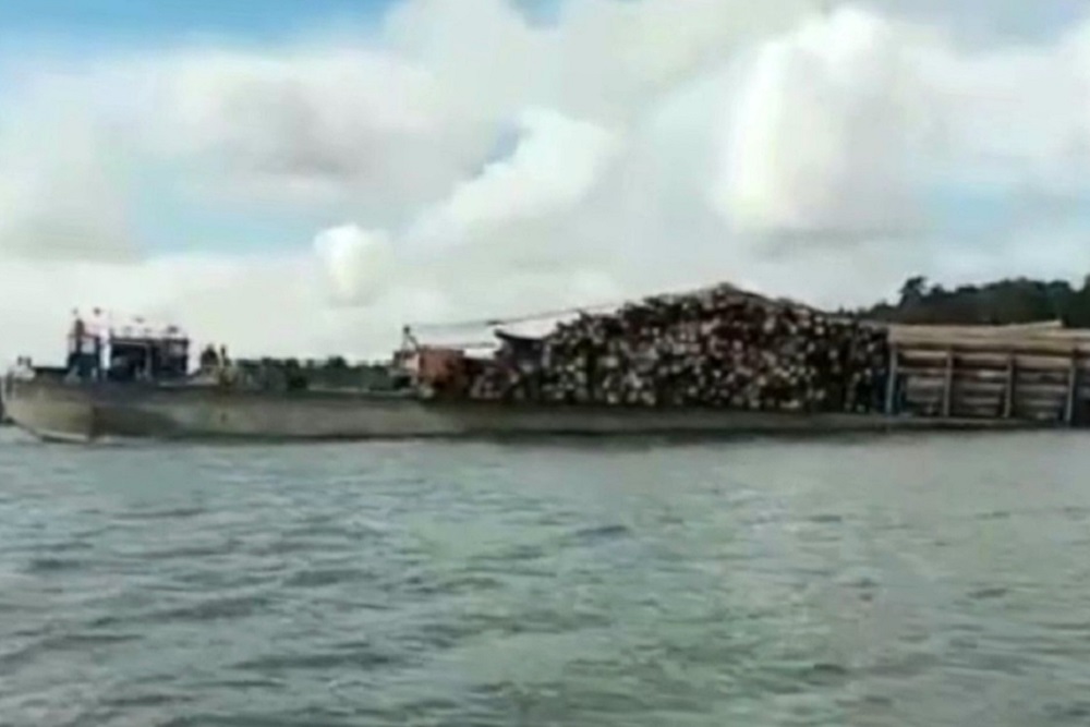  Kapal Tongkang Bermuatan 3.000 Kubik Kayu Diadang di Mentawai, Ini Penyebabnya