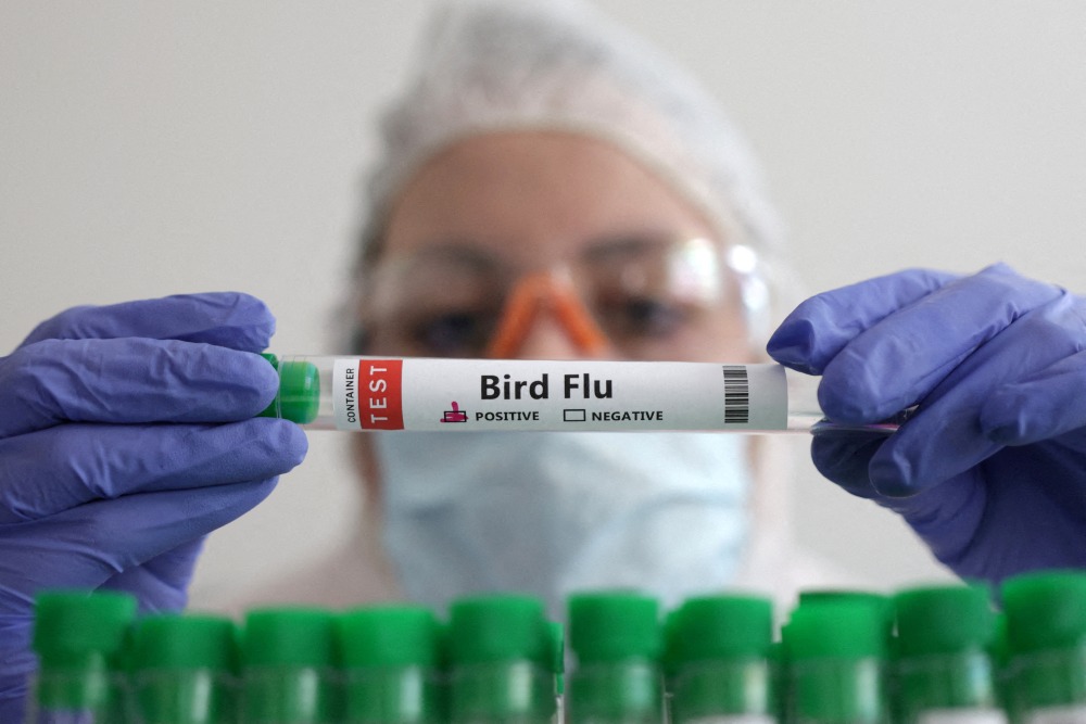 Seseorang memegang tabung reaksi berlabel Flu Burung dalam ilustrasi gambar pada 14 Januari 2023. REUTERS/Dado Ruvic/Illustration