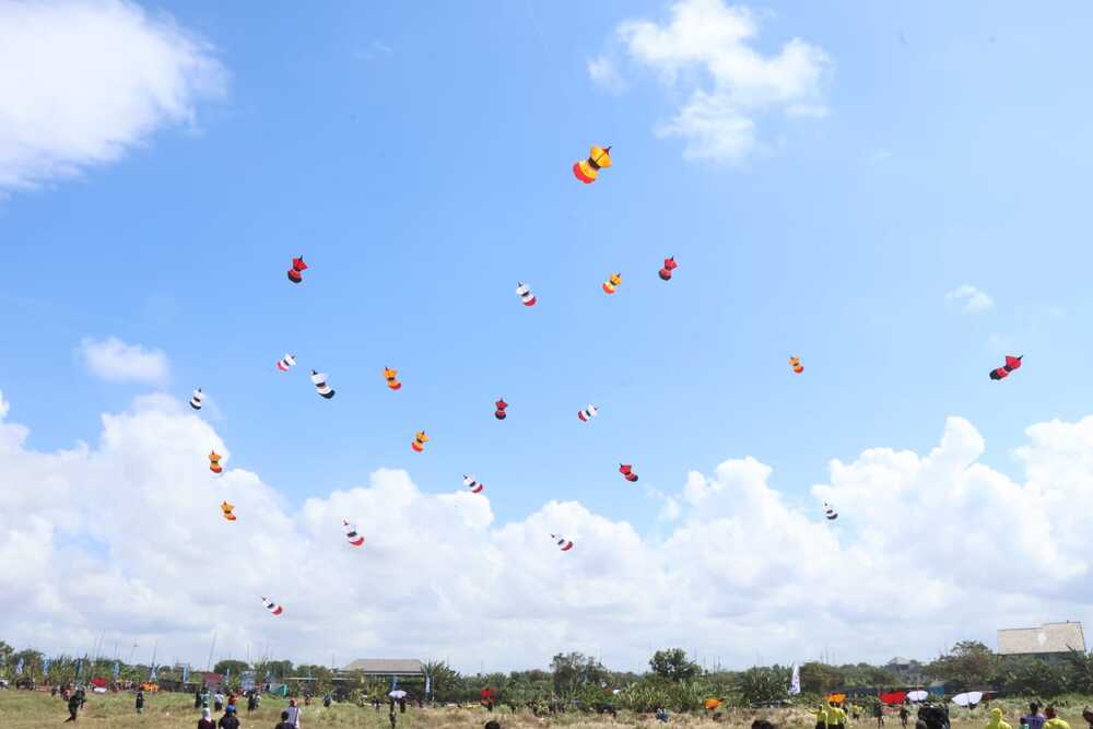  Festival Layang-Layang Bali Jadi Daya Tarik Wisatawan