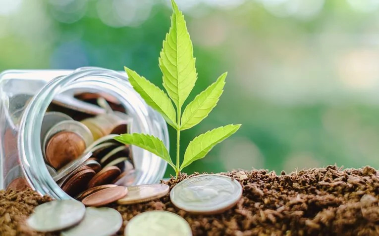  Expediting Green Finances in Indonesia