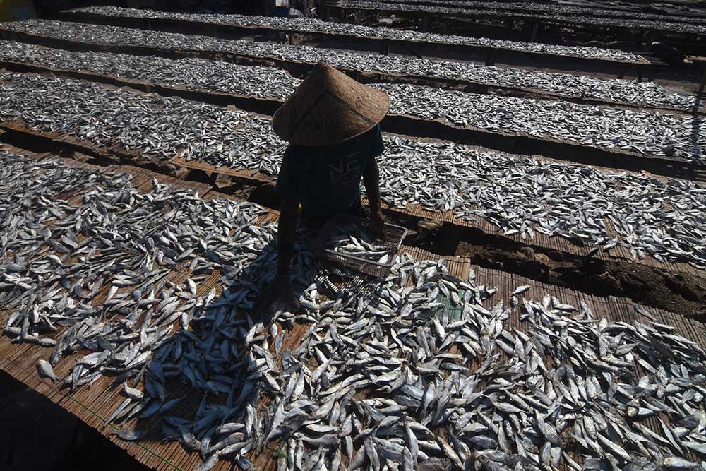  Produksi Ikan Asin di Jakarta Menurun Akibat Tingginya Harga Garam