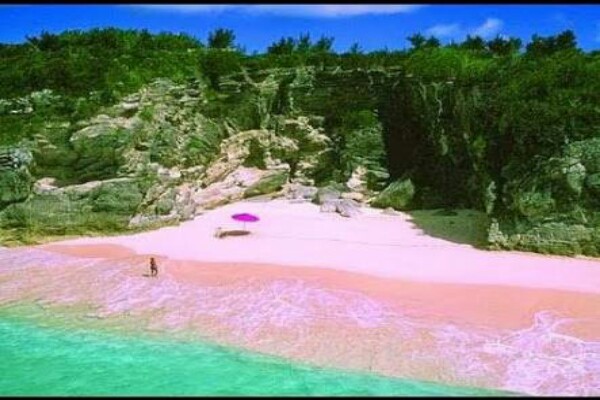  Kapal Wisata Tenggelam di Pantai Pink Taman Nasional Komodo