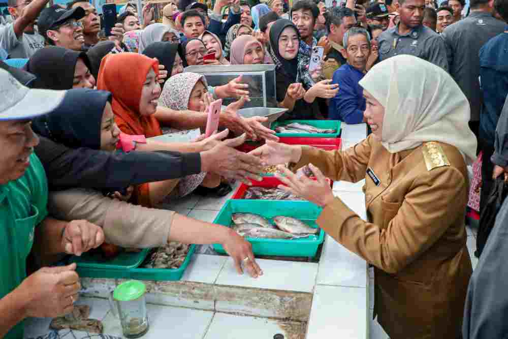  Harga Daging Ayam & Bawang Merah Mulai Stabil, Khofifah Pastikan Inflasi Terkendali